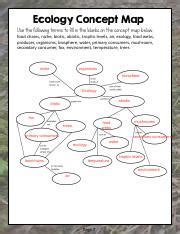 Exploring Ecology: Concept Map & Key Terms for Students | Course Hero