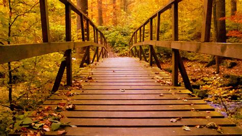 1920x1080 Wooden Bridge Forest Autumn Leaves Laptop Full HD 1080P HD 4k ...