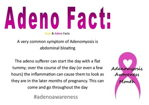 Adenomyosis Diet - Open Diet