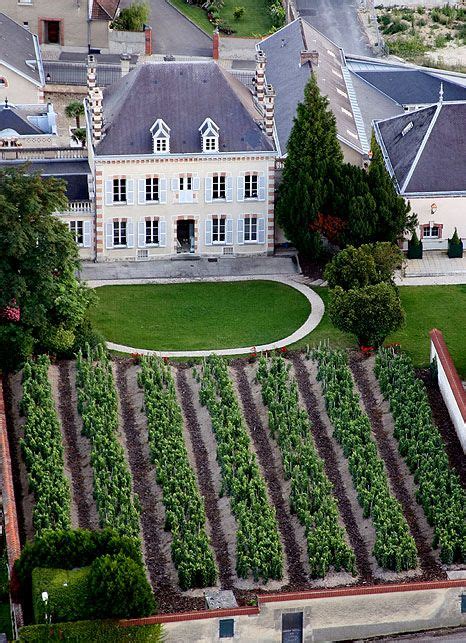 The big Champagne Houses have traditionally been wine merchants, buying grapes from independent ...