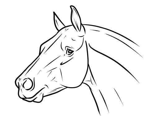 Horse Head Drawing Easy at GetDrawings | Free download