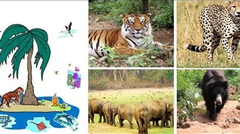 GK Questions and Answers on the India’s Wildlife Conservation Projects