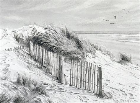 Stillman & Birn - ENGLISH COAST SAND DUNE Artist: Felicity ...