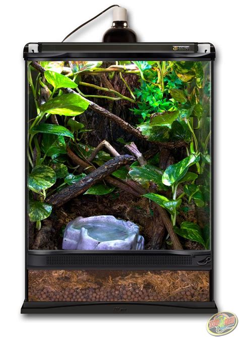 12x12x18 Zoo Med Terrarium. DIY this terrarium with Hydroballs, Forest ...