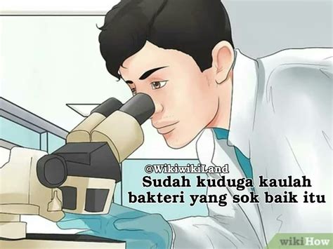 56 Ngakak Meme Wikihow Receh