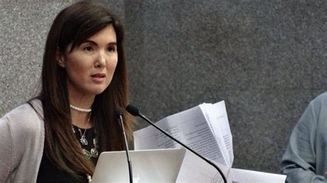 Sen. Pia Cayetano lists projects funded under DAP