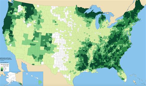 Percentage of forest cover by U.S. state - Vivid Maps