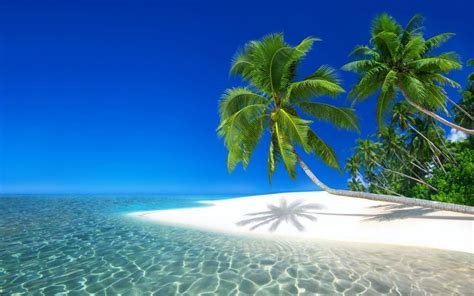 Playas Tropicales – 4K HD | Beautiful beaches, Tropical beaches, Beach wallpaper