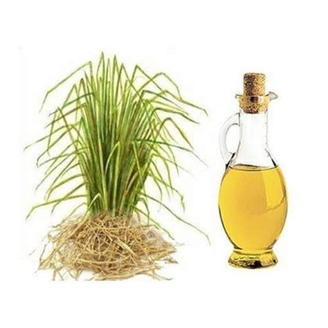 Vetiver Oil Manufacturer in Delhi Delhi India by James Wild Herbs | ID - 5649572