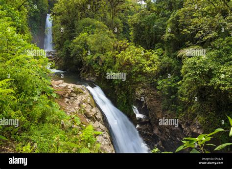 Waterfalls in the rainforest, Vara Blanca, Alajuela province, Costa Rica Stock Photo - Alamy