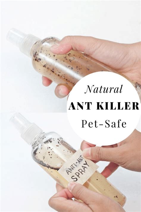 DIY Natural Ant Killer - Pet safe indoor homemade ant killer