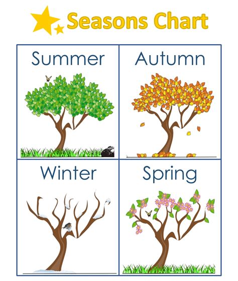 Seasons Chart For Kindergarten