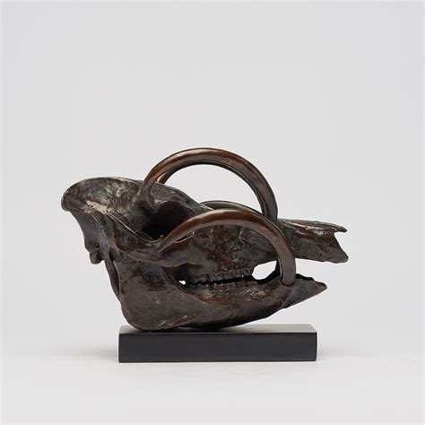 A Babirusa skull in bronze by J Richmond for Sooka Interior