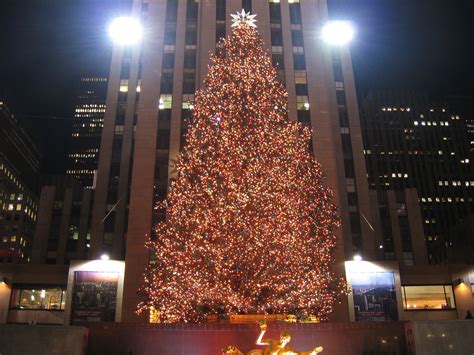 Central Park Christmas Tree 🎄 | Big christmas tree, Favorite christmas ...