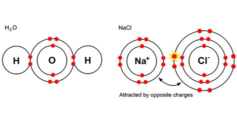 Salt Water Electrolysis Equation - Tessshebaylo