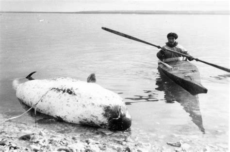 Tides of Change - Canada's History