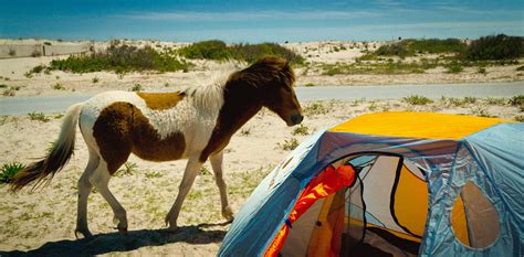 9 most scenic campgrounds in the USA - Lonely Planet