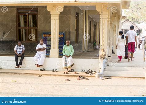 Ramana maharshi ashram tiruvannamalai - vvticruise