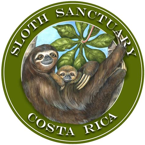 Sloth Sanctuary in Costa Rica | Sloth, Costa rica sloth, Costa rica