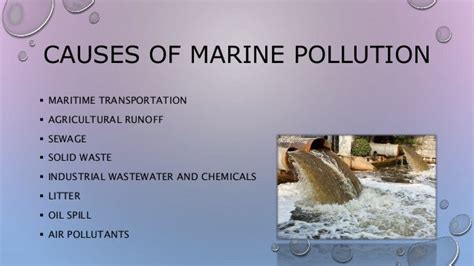 Water and Marine Pollution