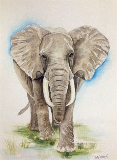 Watercolor Elephant Sketch, Elephant Drawing, Watercolor Elephant ...