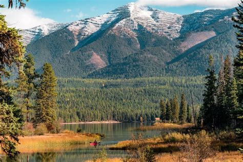 Flathead National Forest in Montana | Beautiful forest, National forest, Montana