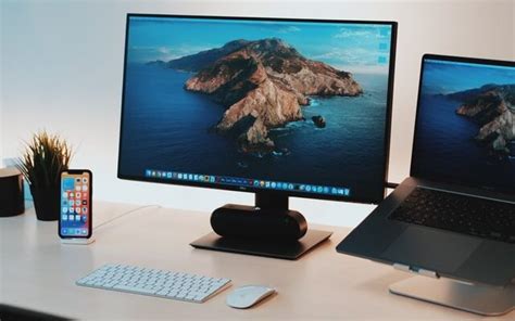 13 Best Thunderbolt Monitors