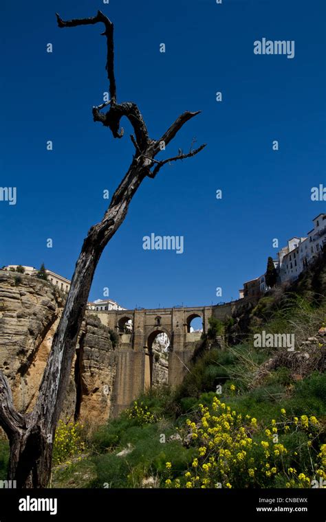 Ronda spain bridge hi-res stock photography and images - Alamy