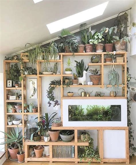 25+ Creative Ways To Arrange Your Indoor Plant Shelf | momooze.com ...