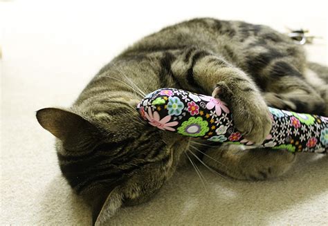 Catnip Toy - Cute Cat Accessories