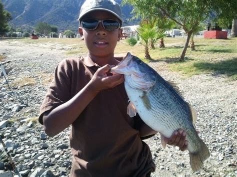 Fishing Report | Lake Elsinore, CA