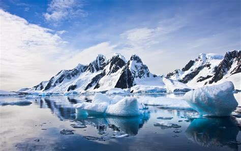 24 Best Petermann Island Cruises, Antarctic Expeditions, & Tours for 2024-2025 by Adventure Life