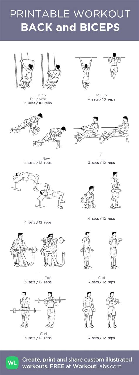 BACK and BICEPS | Printable workouts, Back and biceps, Back and bicep workout