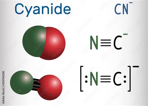 Cyanide anion molecule. Structural chemical formula and molecule model 素材庫向量圖 | Adobe Stock