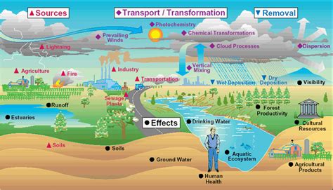 How much pollution goes into the air each day? | Socratic