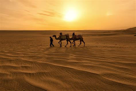 ¡Impactante efecto de la ola de frío polar! El desierto del Sahara ...