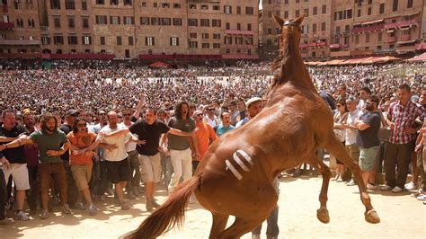 Palio di Siena – the craziest horse race in the world | CN Traveller