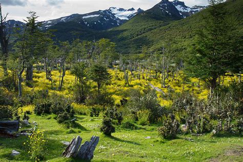 Tierra del Fuego National Park: Argentina's Southernmost Natural Wonder ...