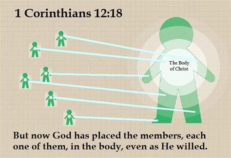 17 Best images about Body of Christ on Pinterest | Church, We and You are