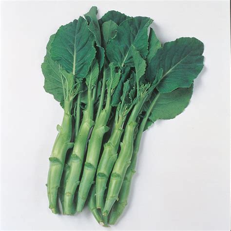 Chinese Kale Kailaan | Oriental Vegetables | Kings Seeds