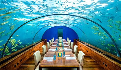 Maldives Takes Things Up A Notch With These Underwater Villas - Travel ...