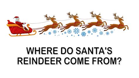 Where do Santa's reindeer come from? - ABC7 Chicago