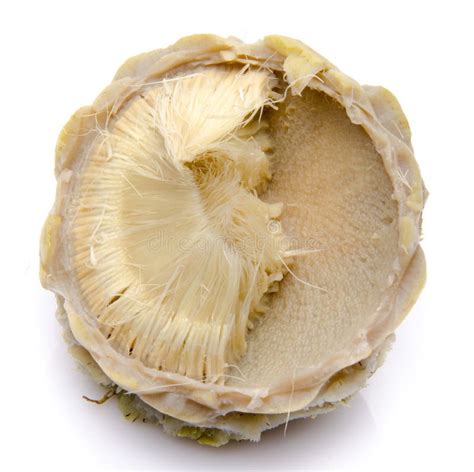 Artichoke heart stock photo. Image of freshness, agriculture - 41139132