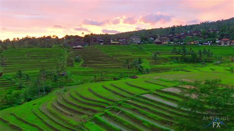 Jatiluwih Rice Terrace Sunset - 4K Drone Video - YouTube