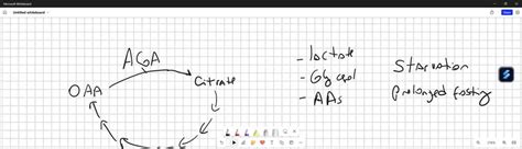 SOLVED: Explain the role of oxaloacetate in the citric acid cycle and gluconeogenesis.