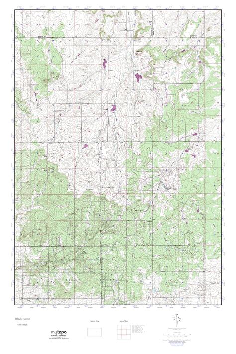 MyTopo Black Forest, Colorado USGS Quad Topo Map