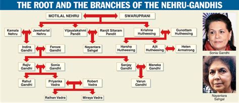 India, its peoples and its neighbors: The Nehru-Gandhi family tree