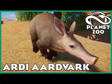 Aardvark Habitats! Planet Zoo: Zoo Spotlight 25 - YouTube