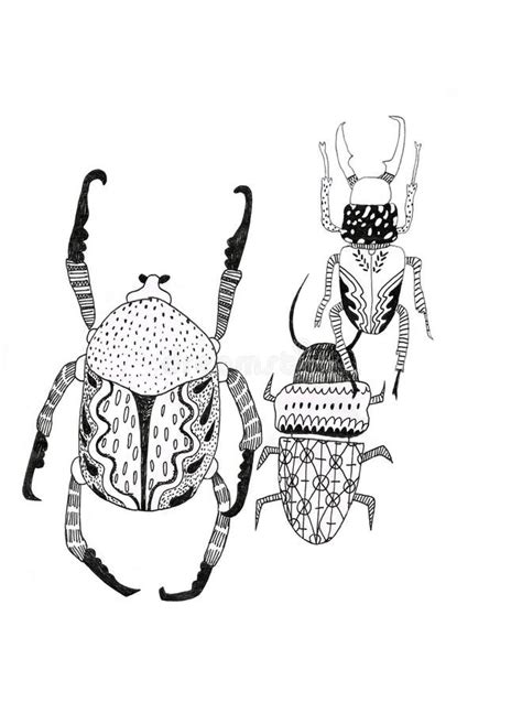 Doodle, Black and White Beetles with Patterns on White Background Stock ...