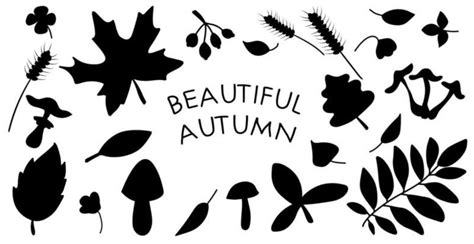 Fall Leaves Silhouette Vector Art, Icons, and Graphics for Free Download